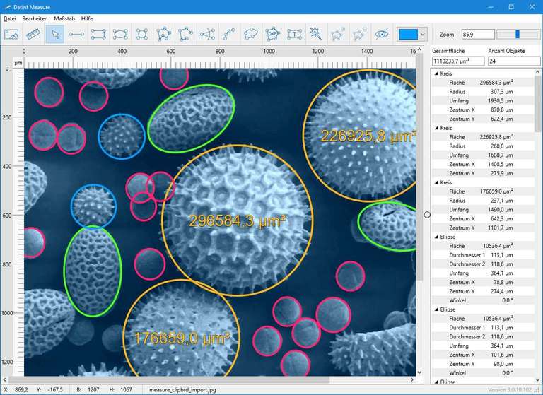 Dat-inf Measure screenshot with an electron microscope image